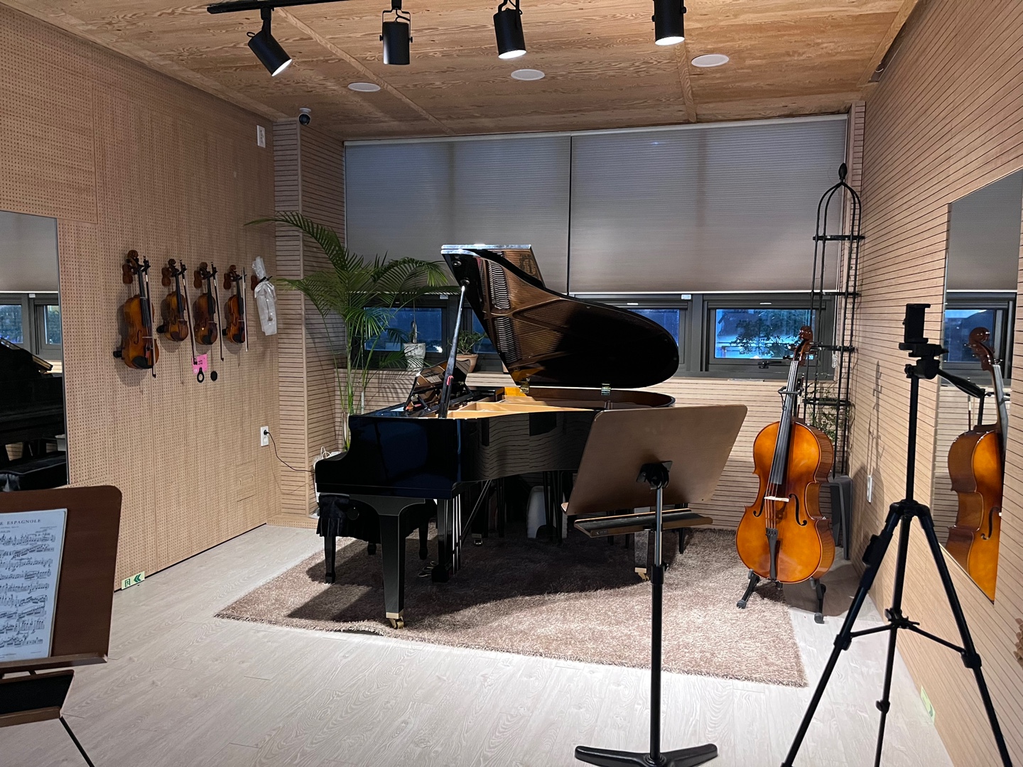 StringMusicViolin