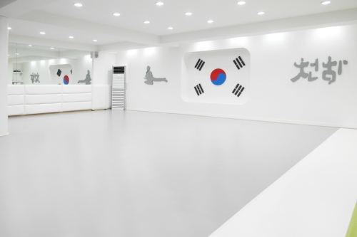 천하 태권도
