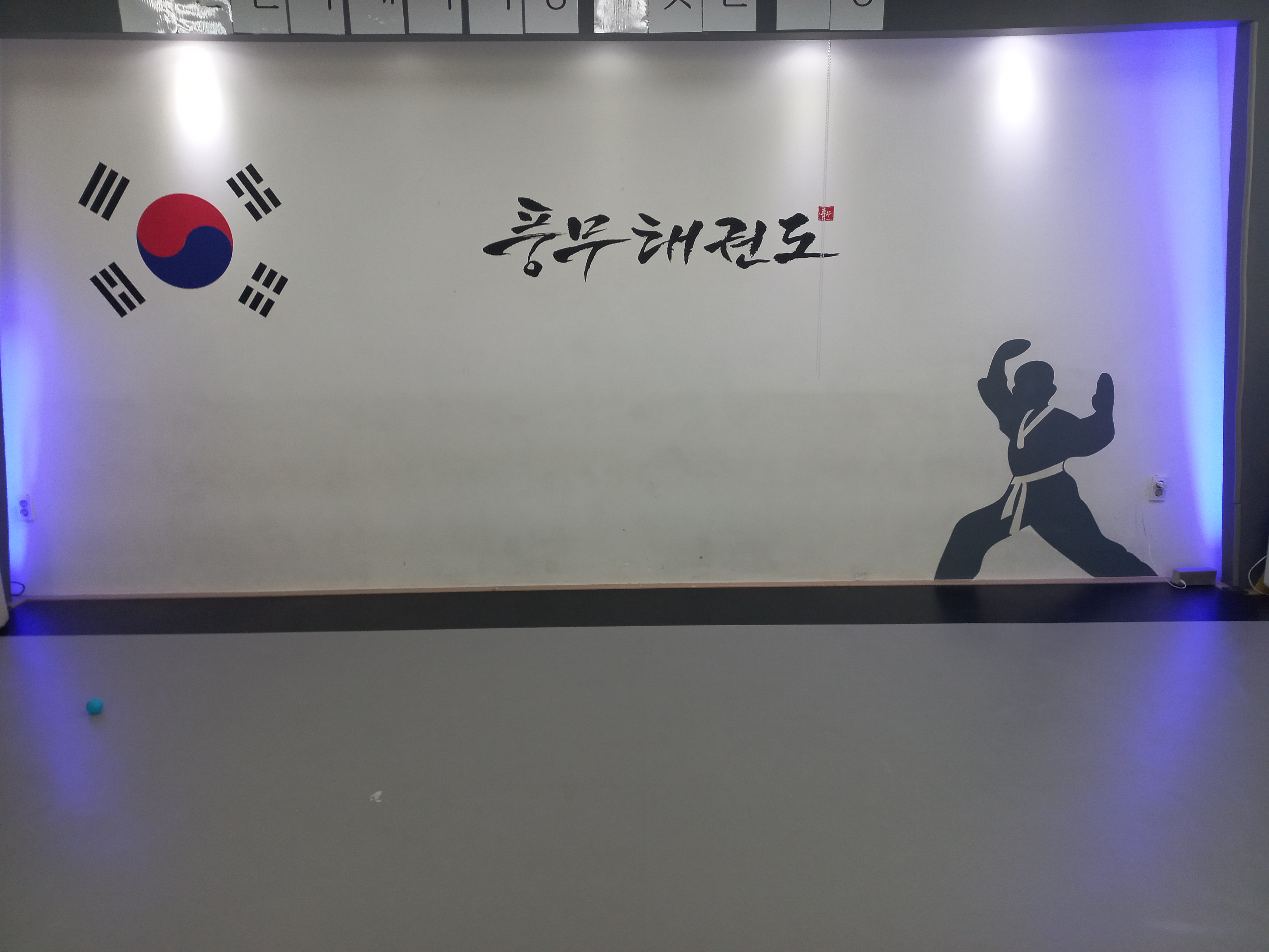 풍무 태권도