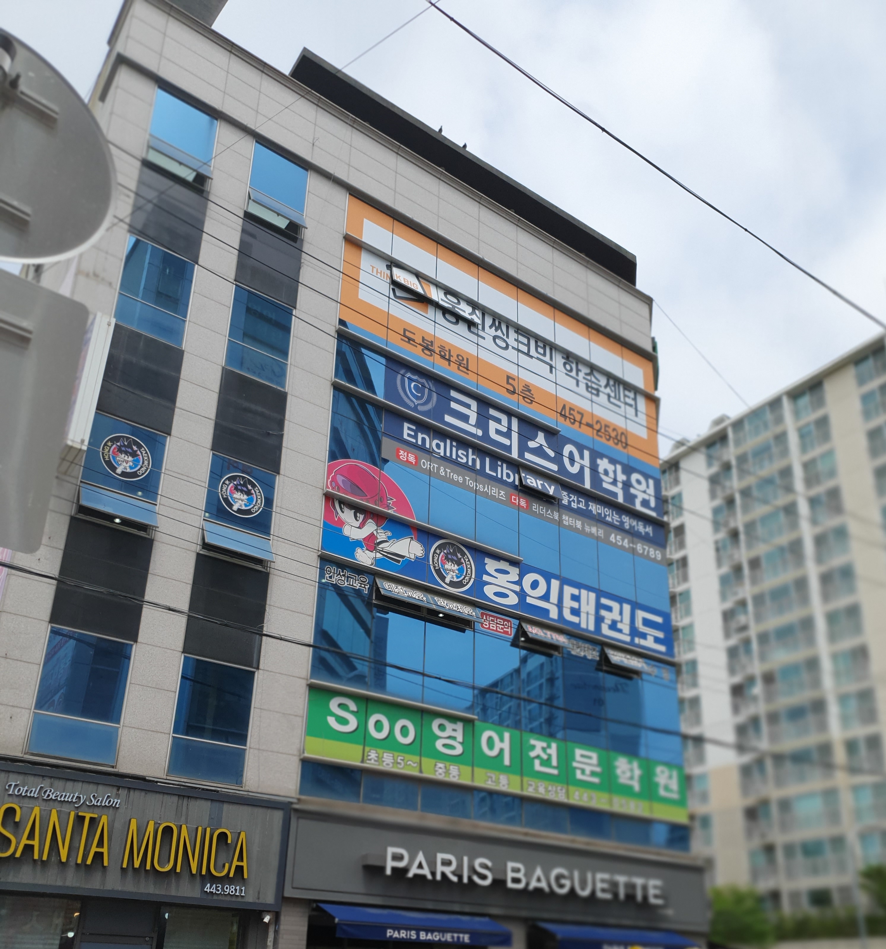 홍익 태권도장