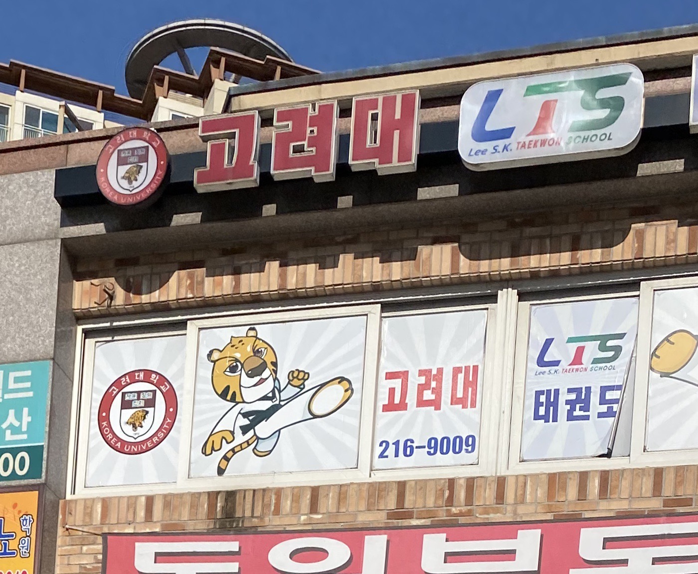 고려대LTS 태권도