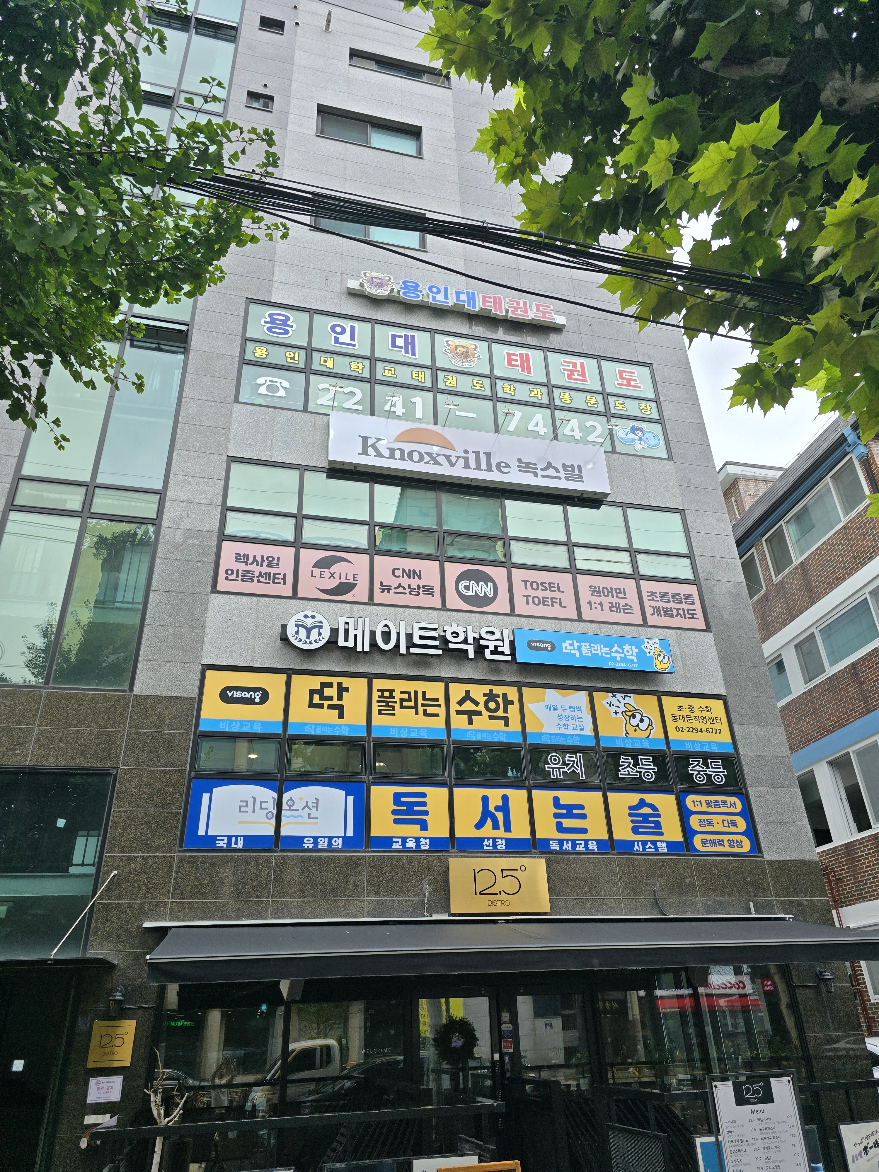 용인대 태권도