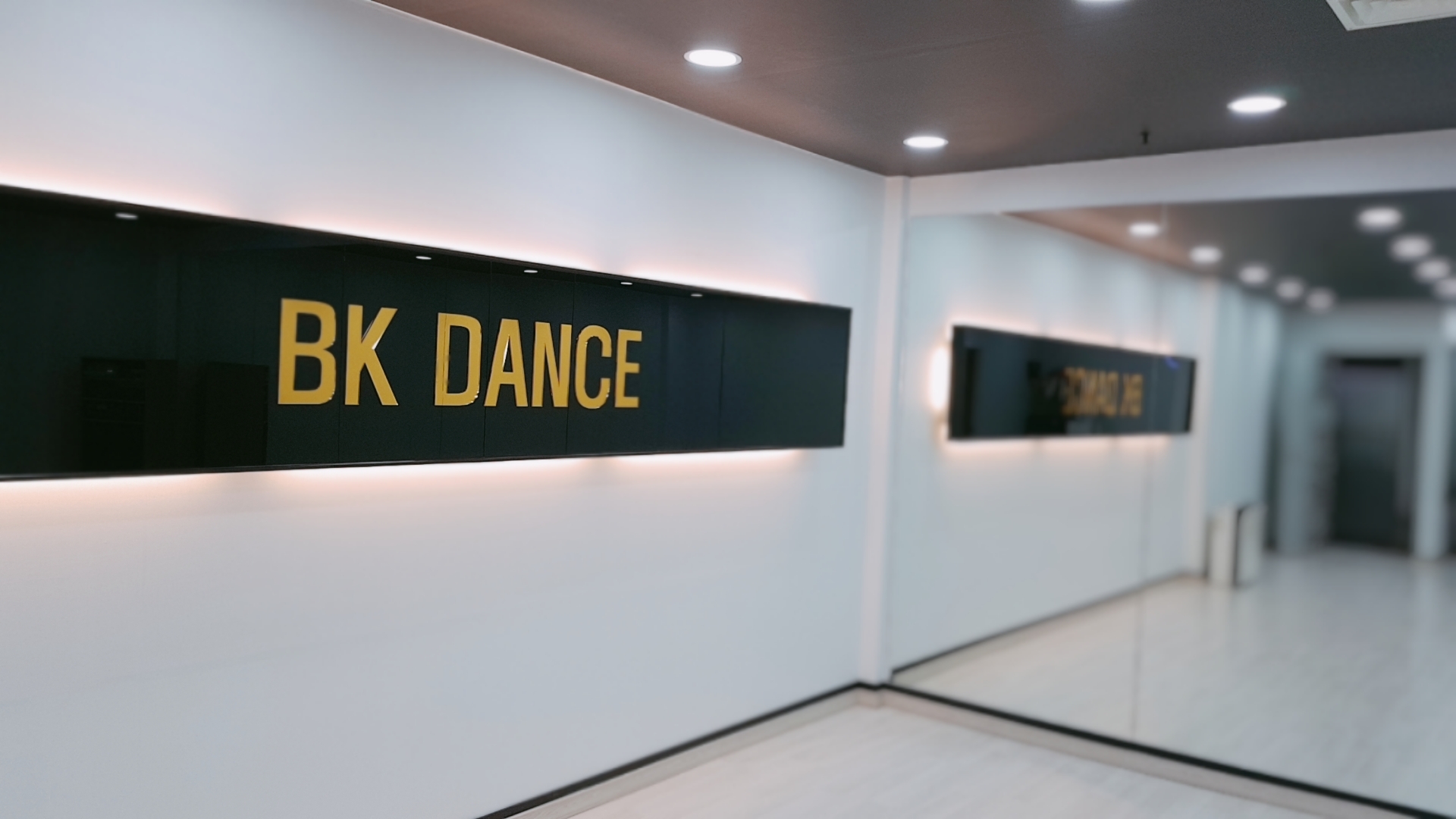 BKDANCE