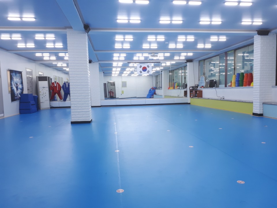 용인대석사 대호 태권도