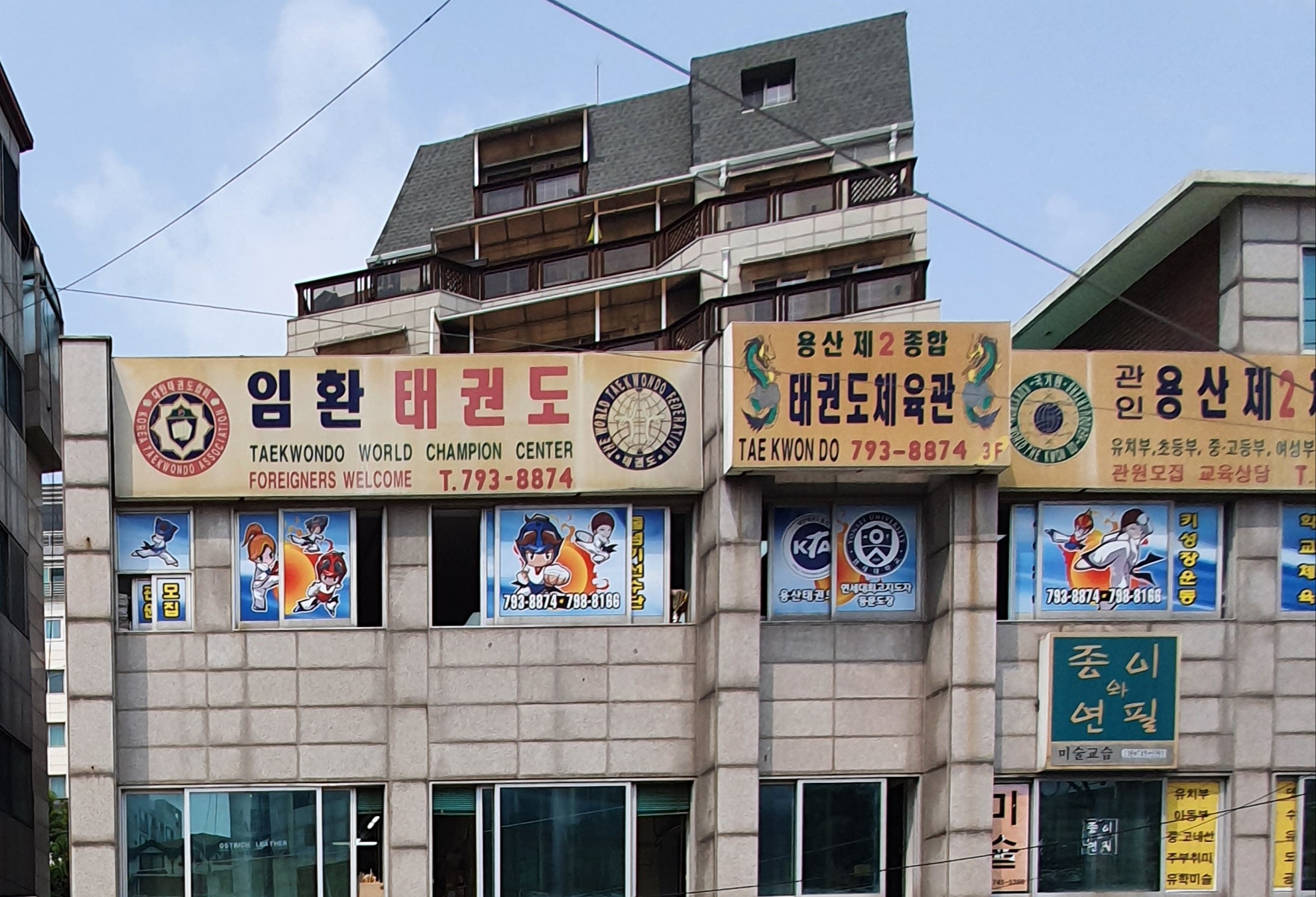 임환 태권도