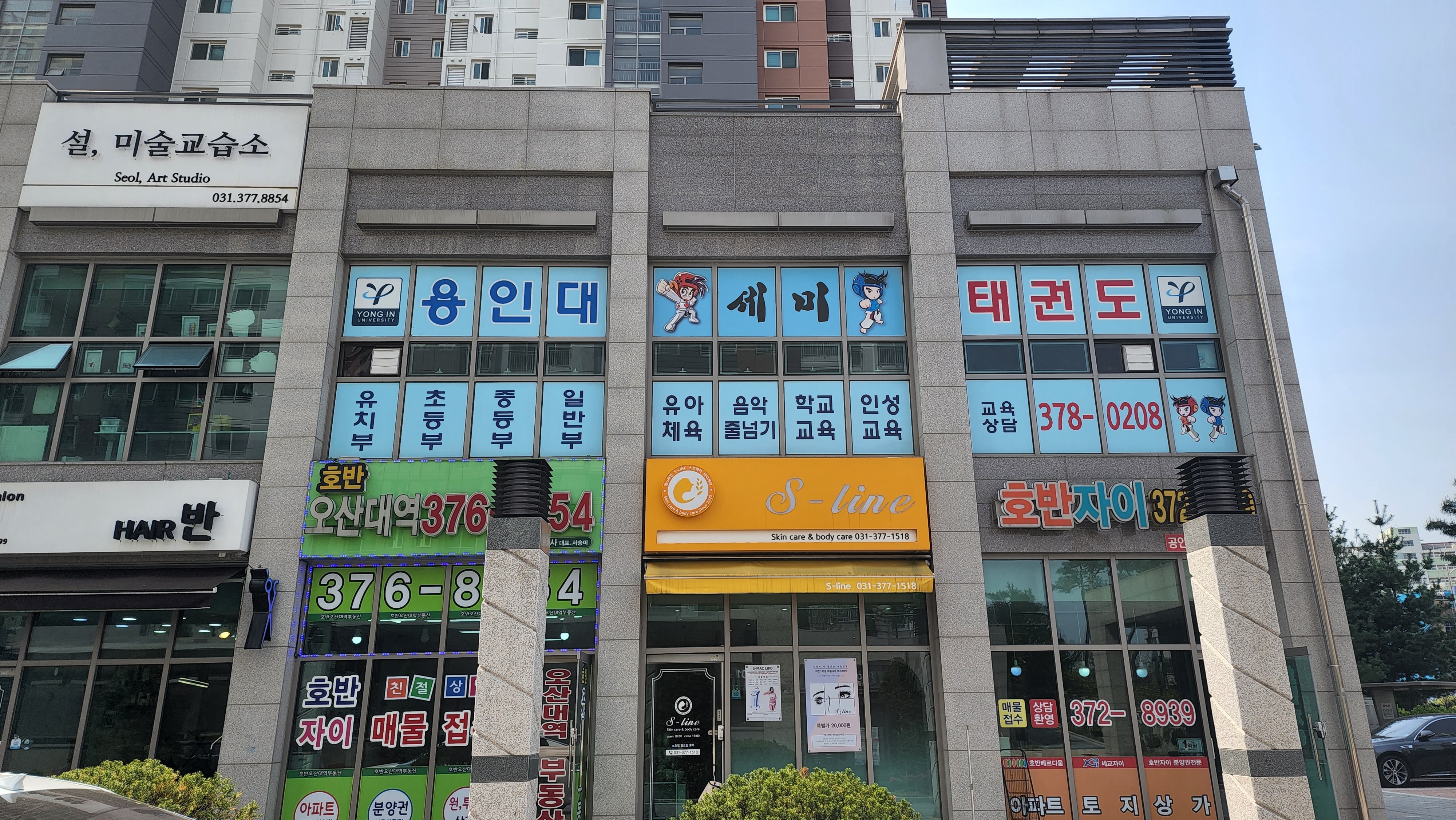 용인대세미 태권도