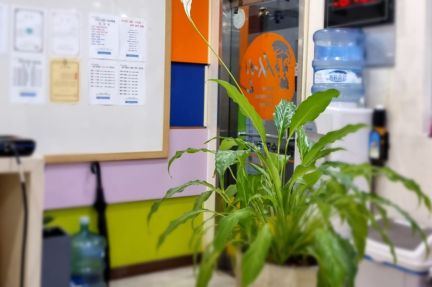 쎈플러스학원