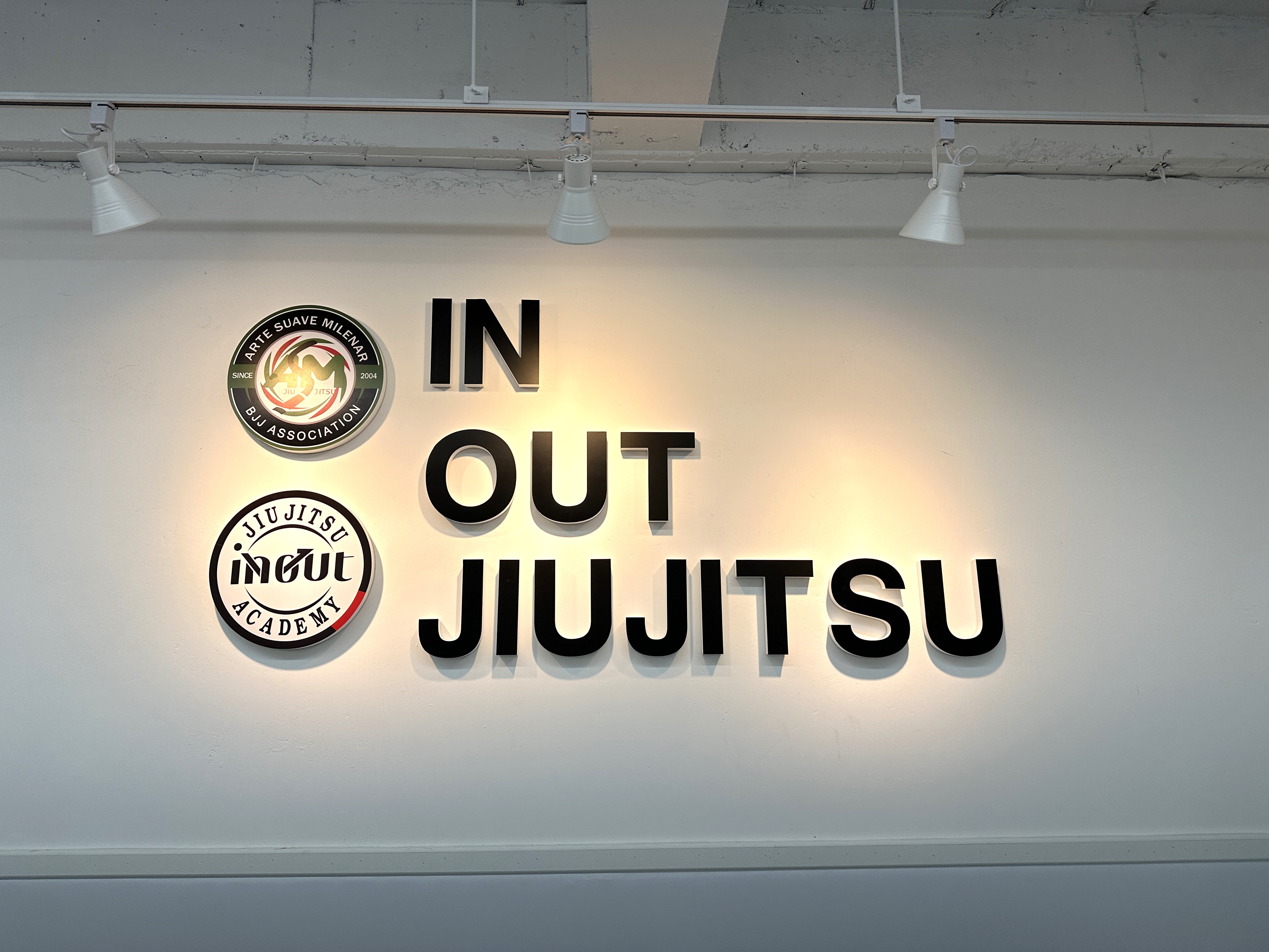 인아웃 주짓수