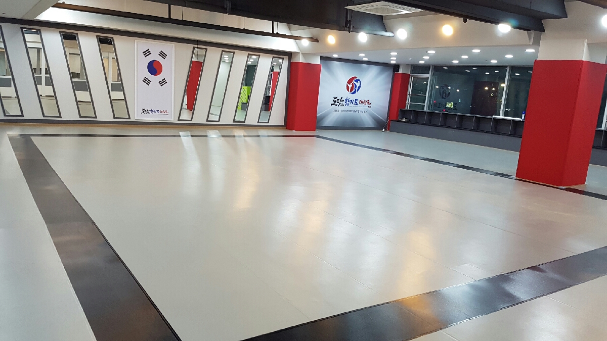 도담 합기도 태권도