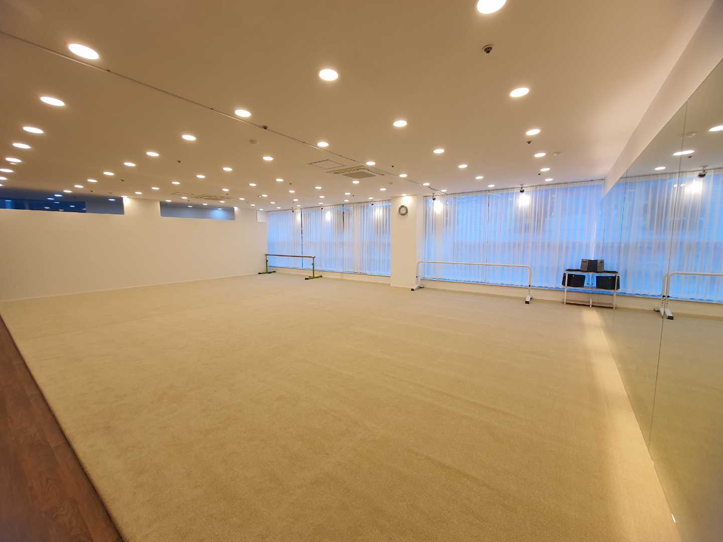 엘핀리듬체조