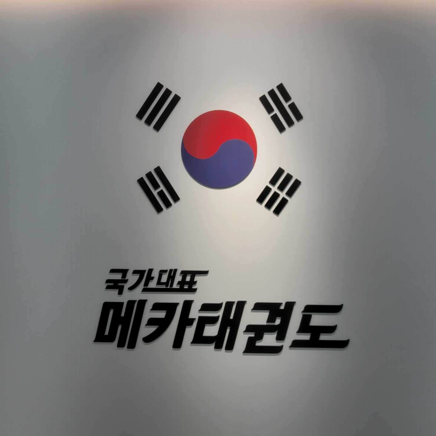 국가대표 메카태권도