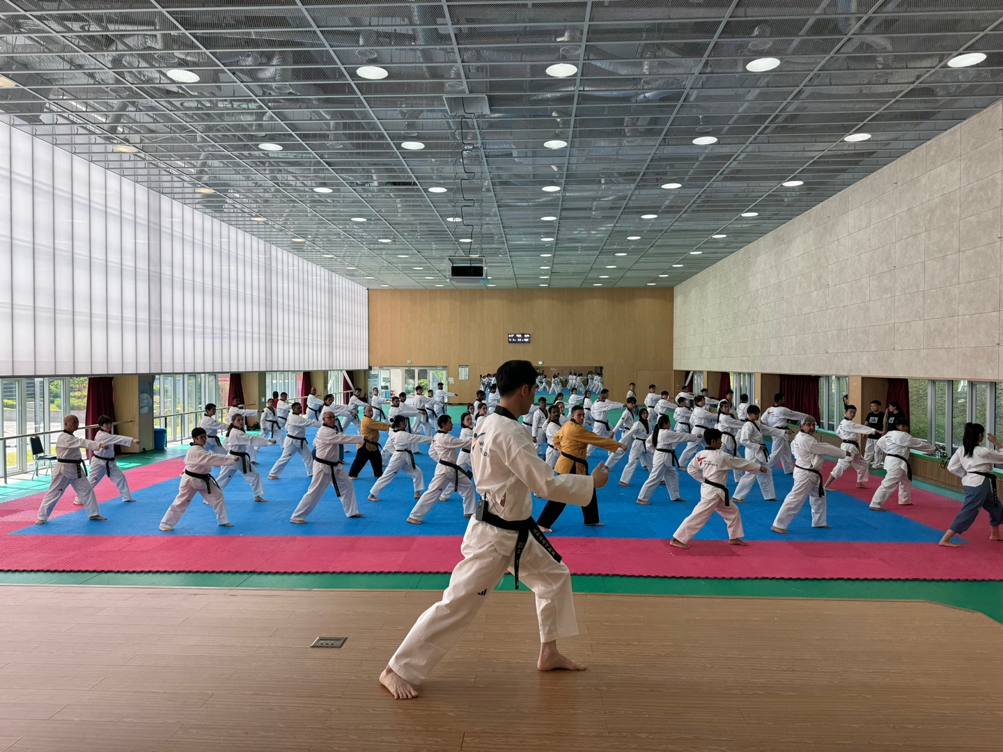 경희대 박사 문무태권도장