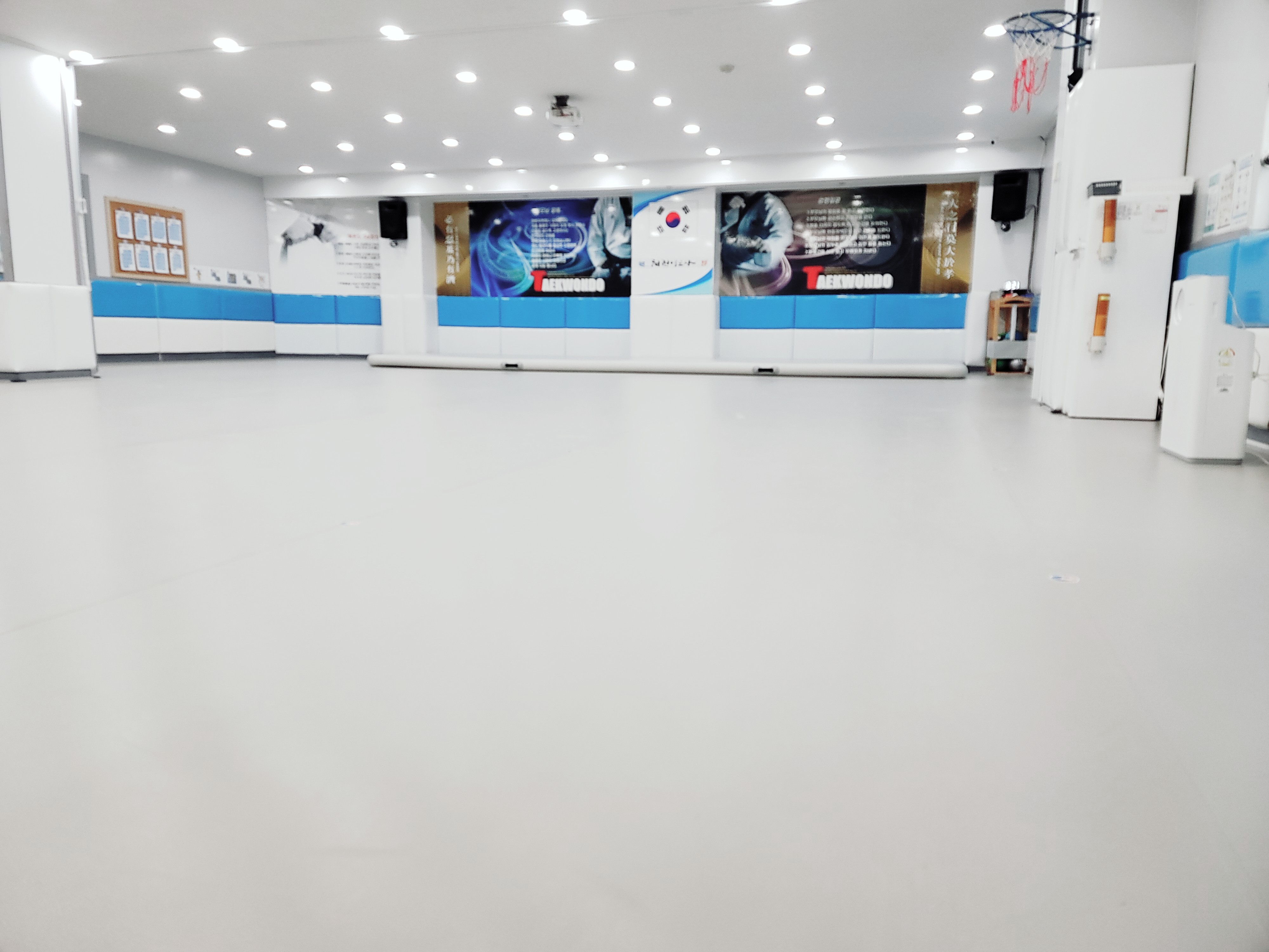 태권나르샤 나르샤파워점핑줄넘기