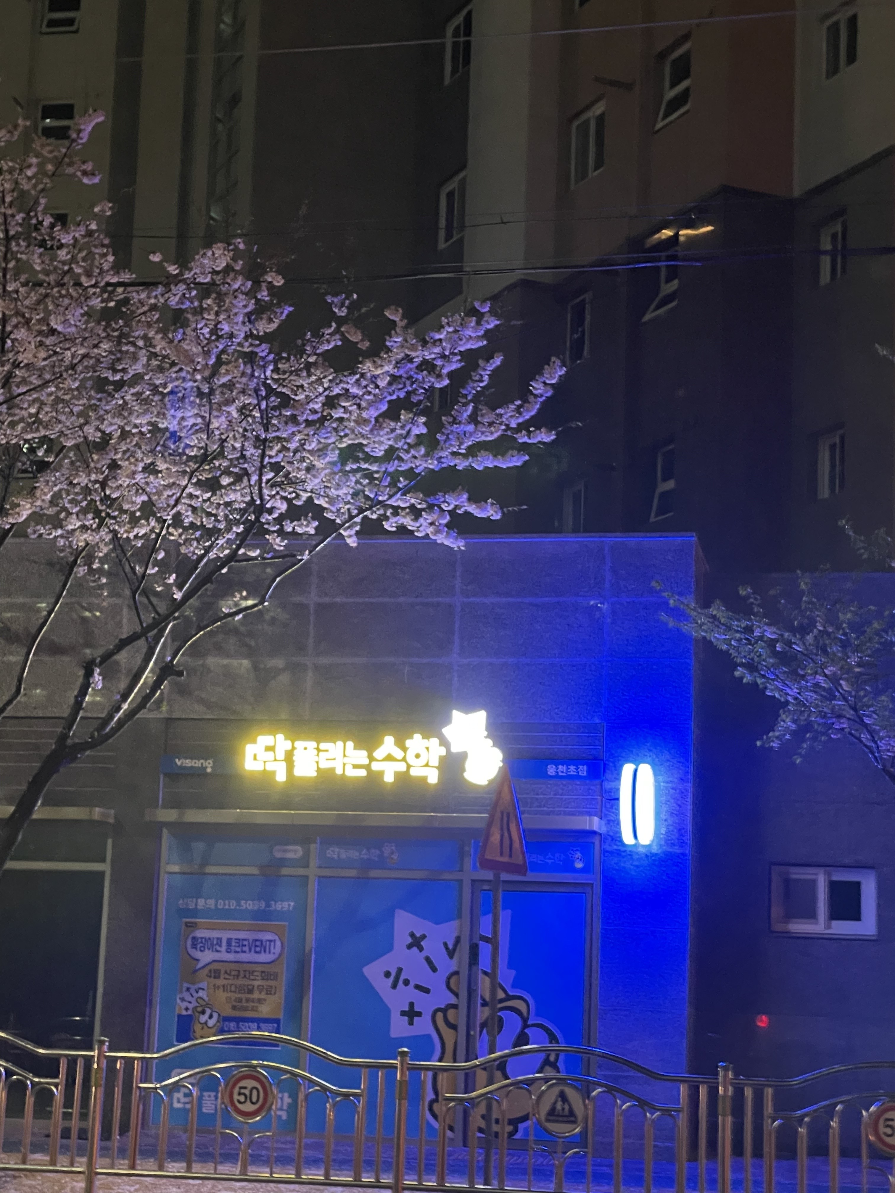 웅천초점딱풀리는 수학교습소