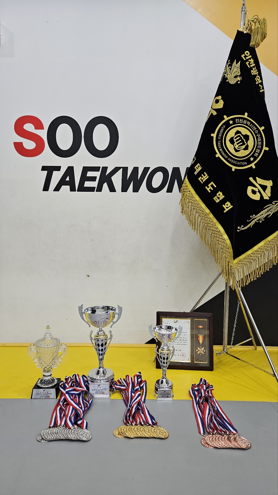 SOO 태권도