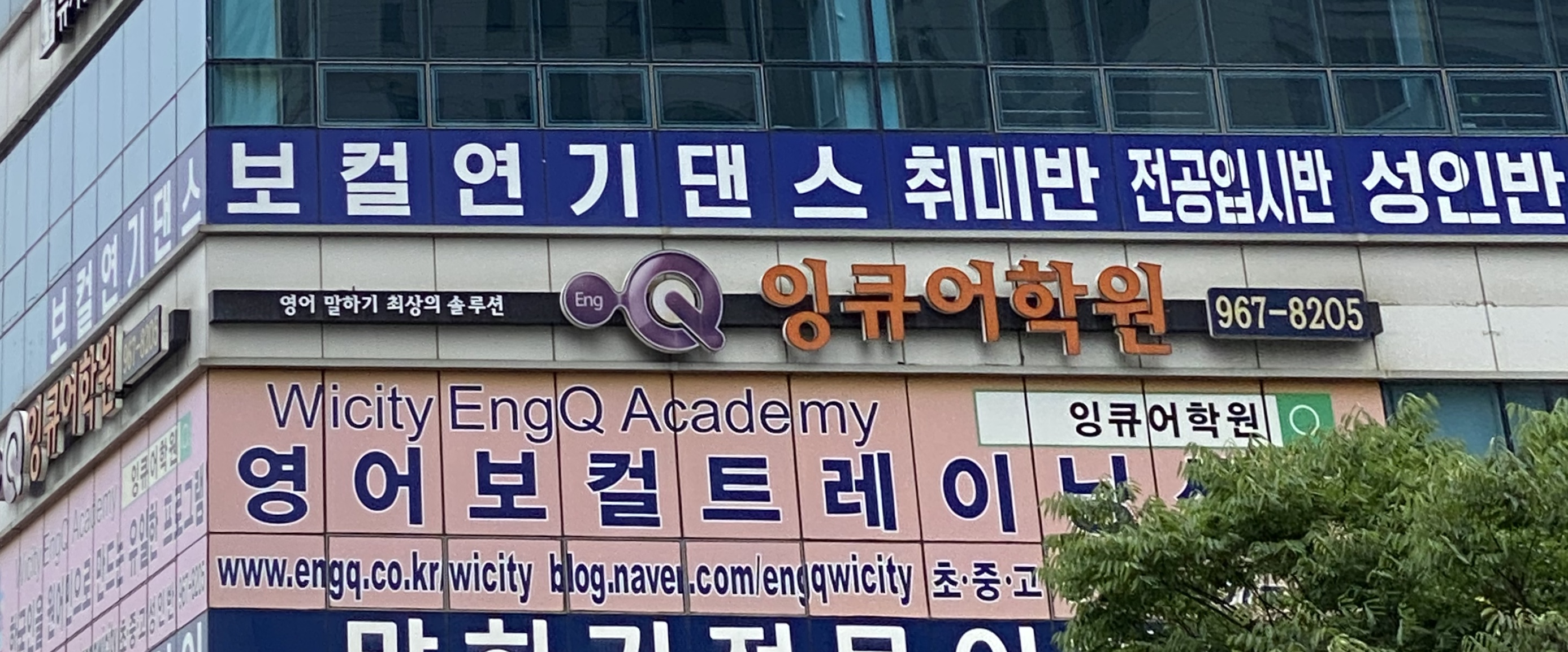 잉큐 어학원