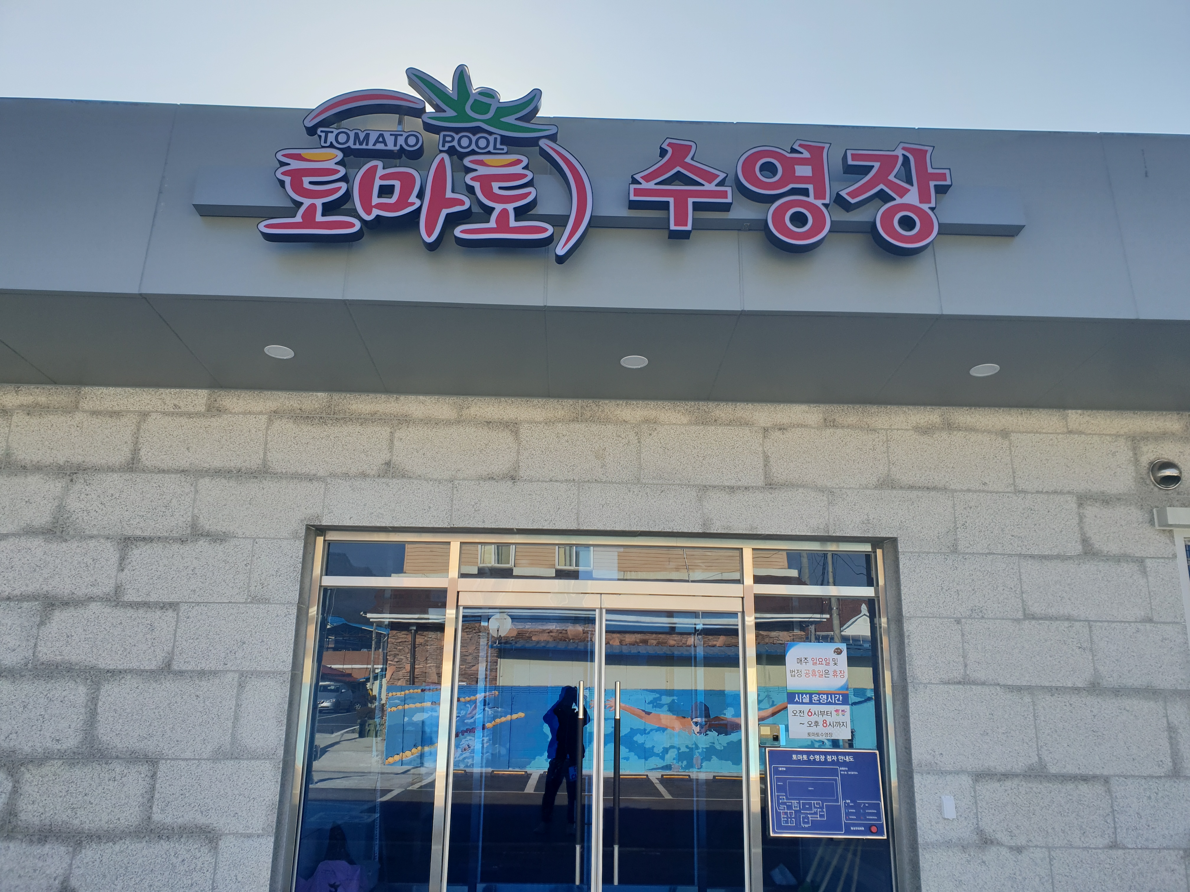 토마토 수영장