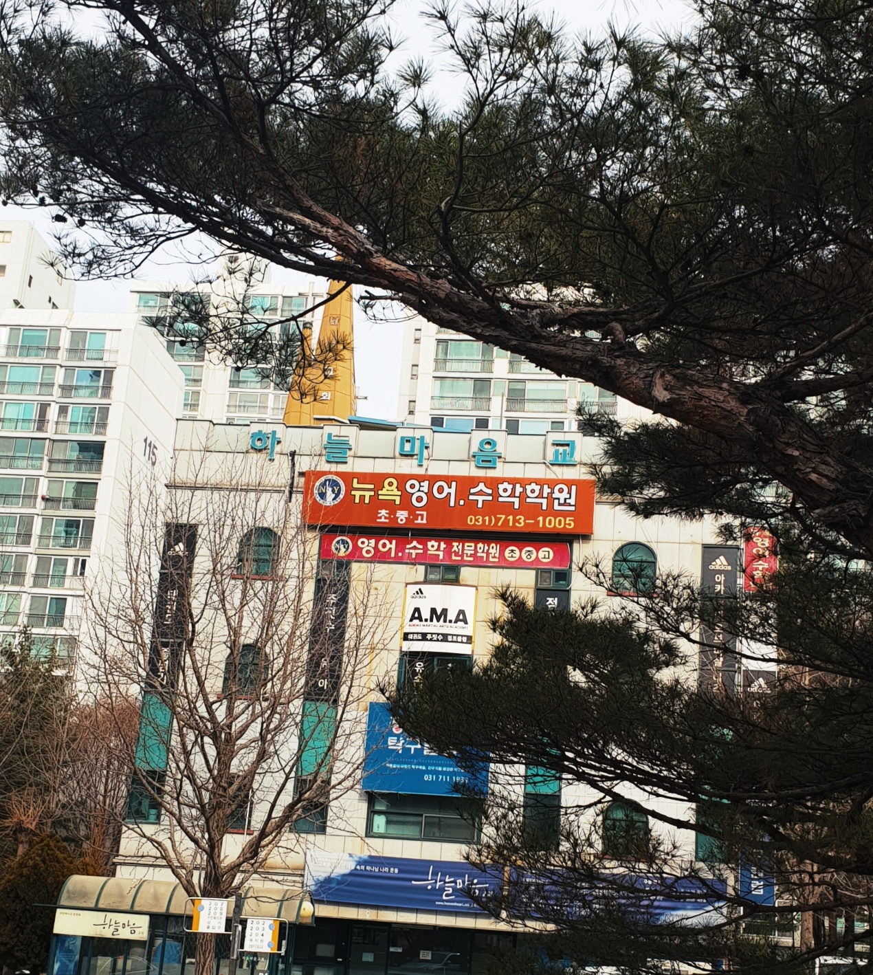 뉴욕 영어수학학원