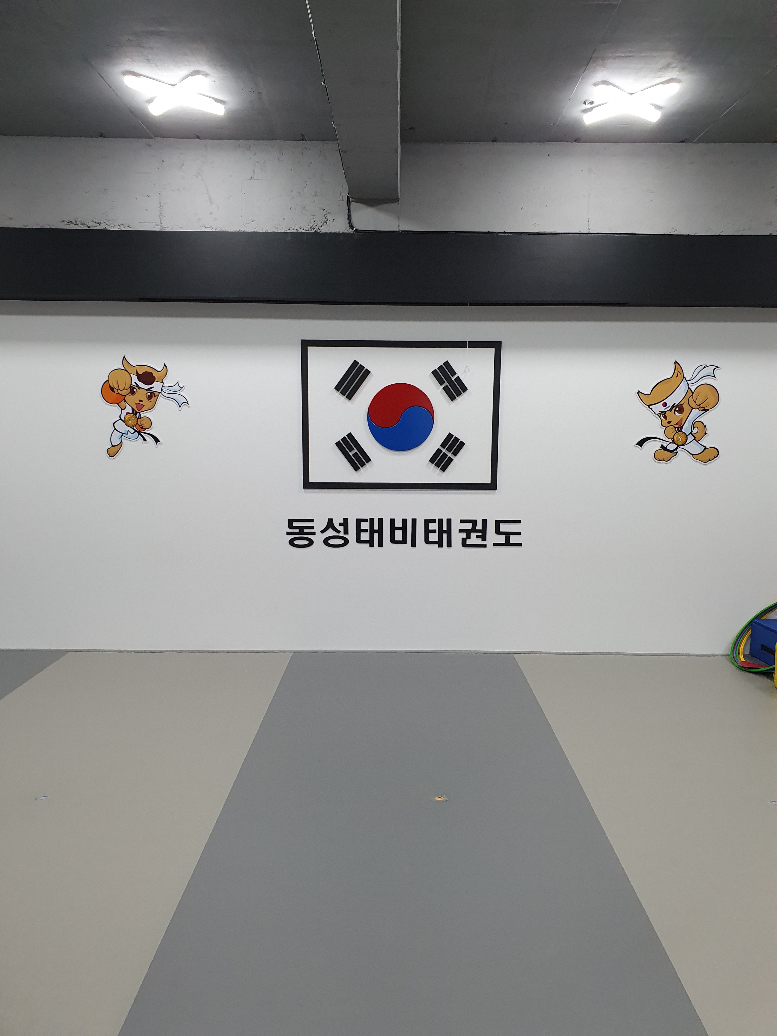 동성태비 태권도 파워점핑줄넘기
