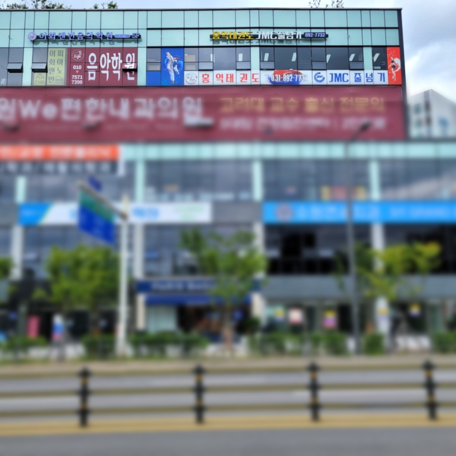 용인대 홍익 태권도