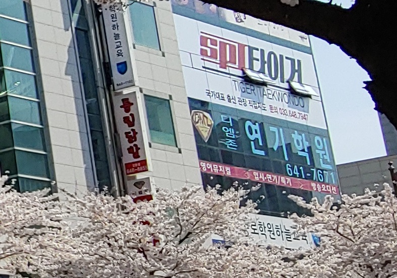 국가대표 타이거 태권스쿨