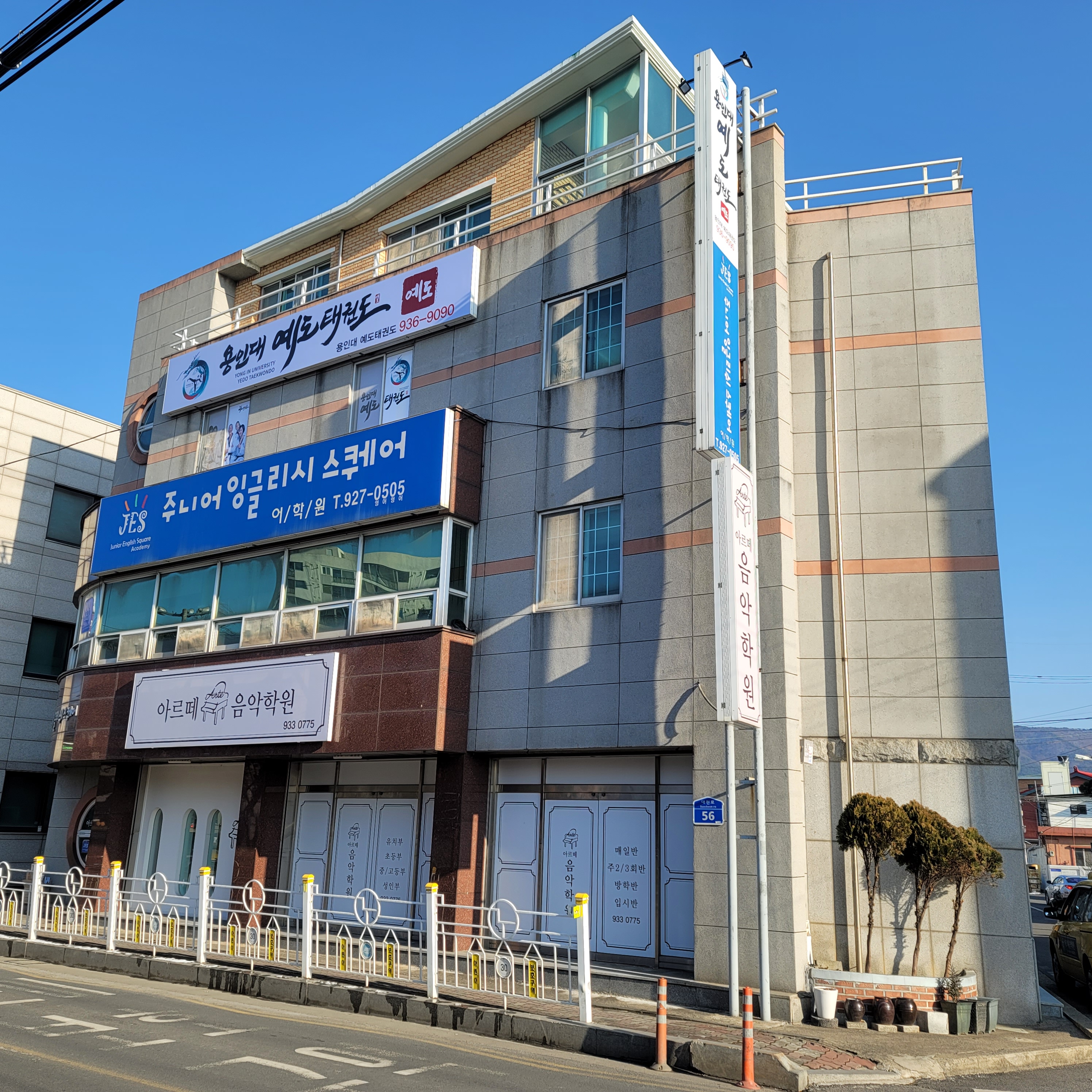 용인대보령 예도태권도