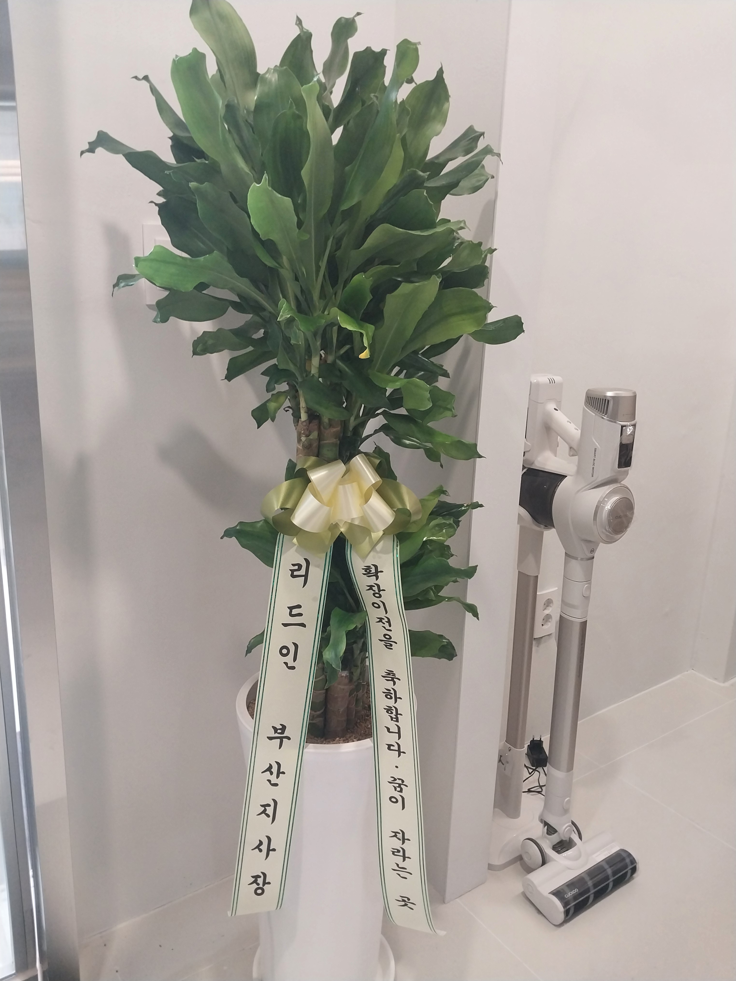 리드인 독서논술 초량점