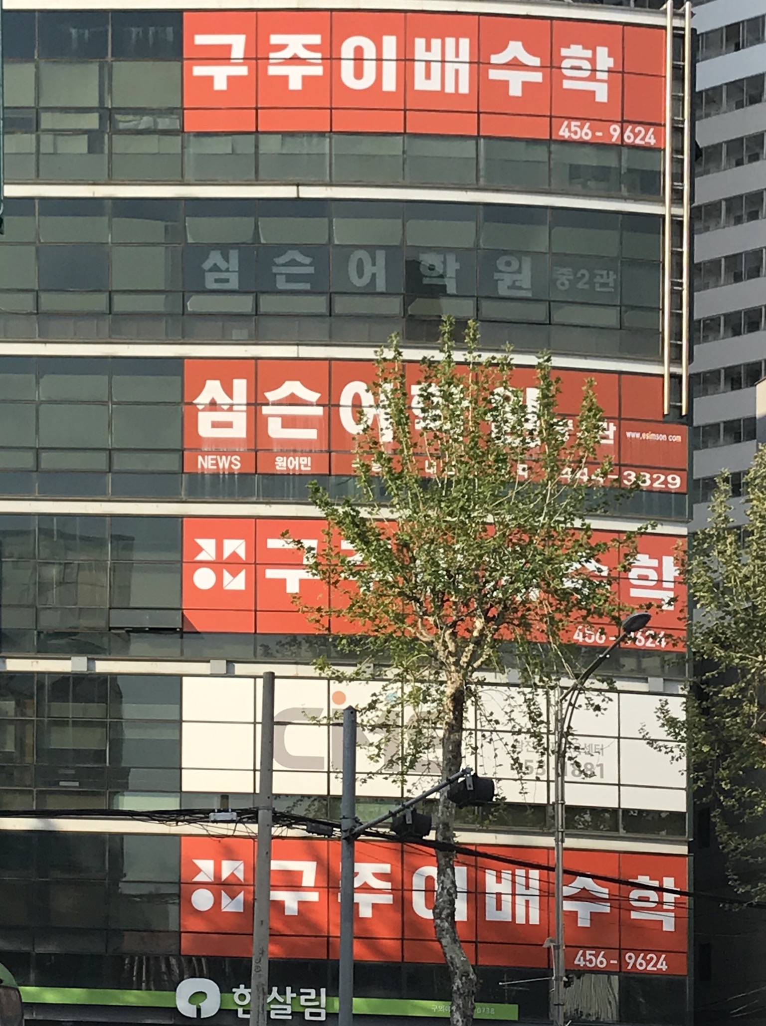 구주이배 수학 광진본원