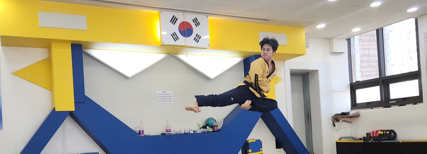 국가대표 탑 태권도