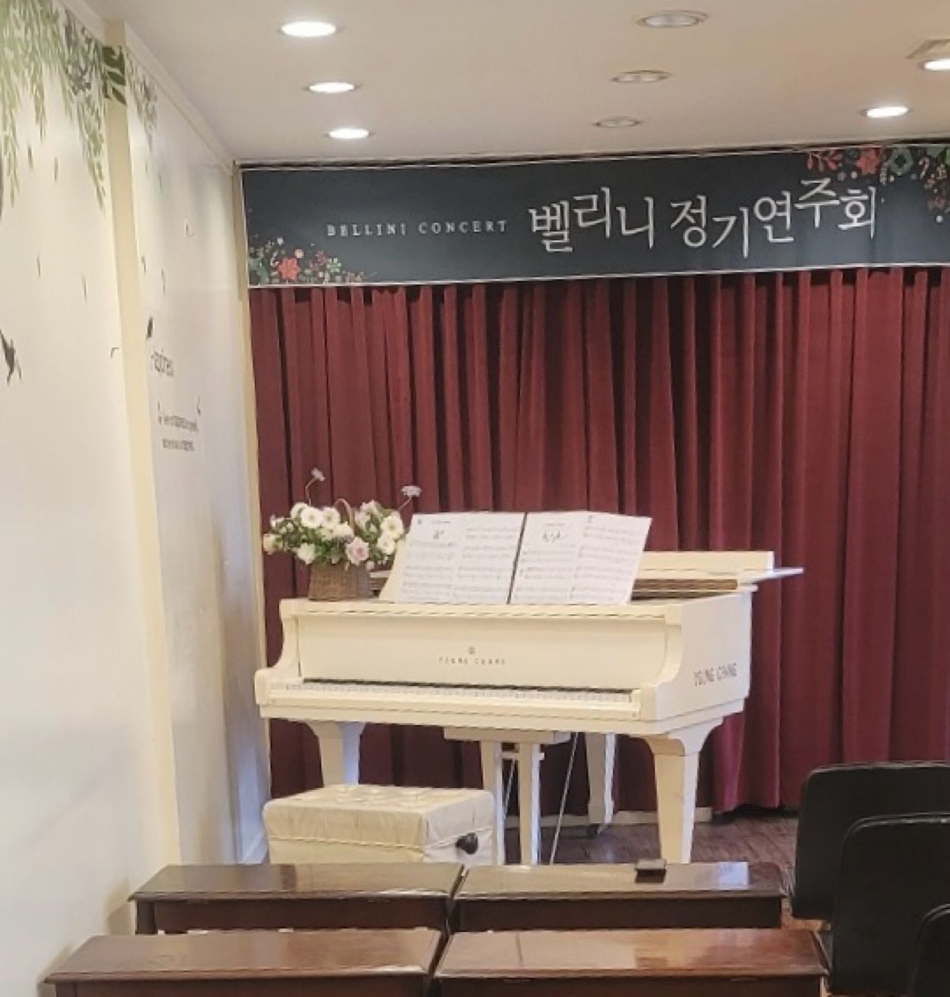 벨리니 음악학원