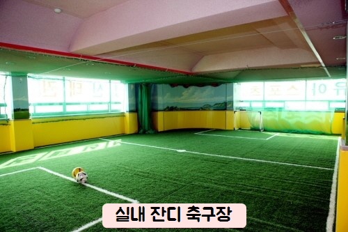 성신 태권도
