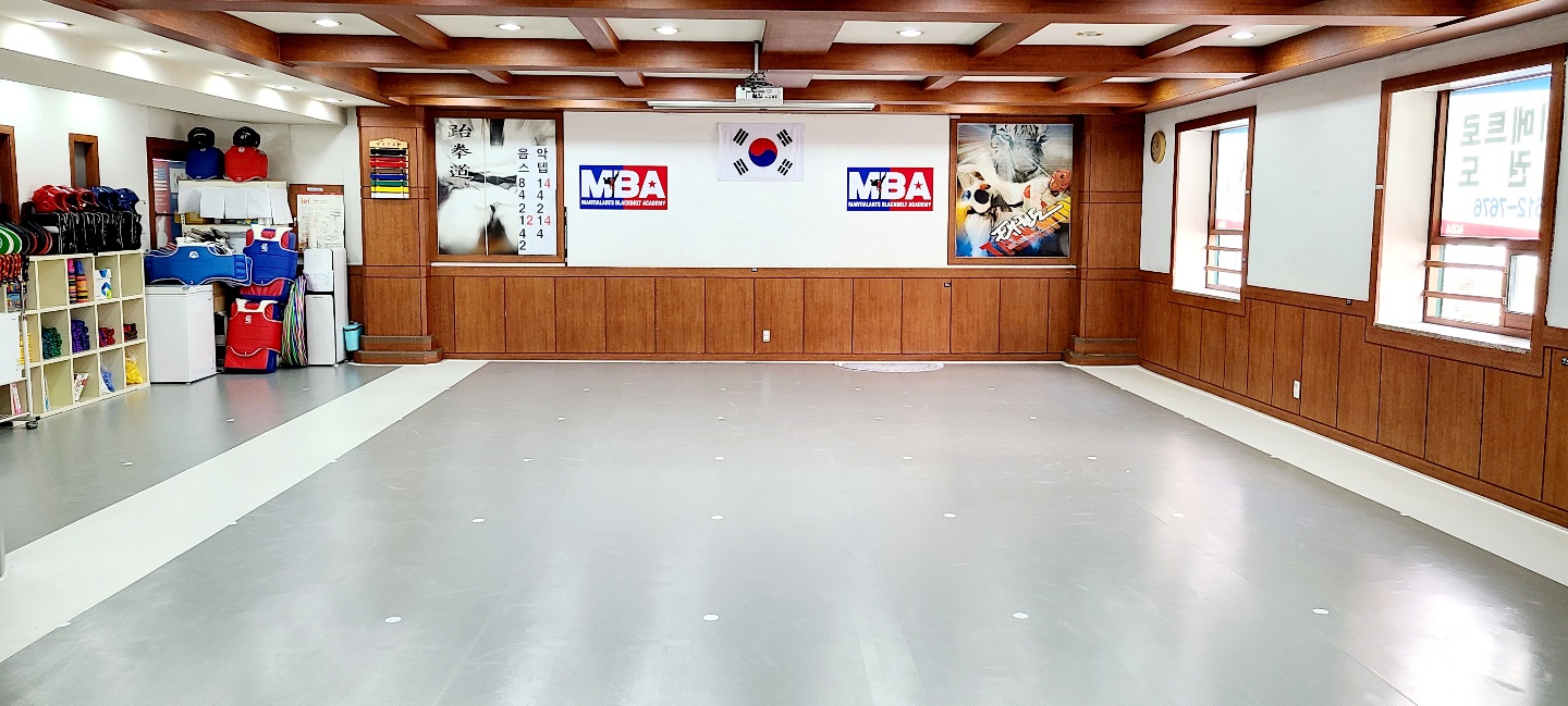 자이메트로 태권도