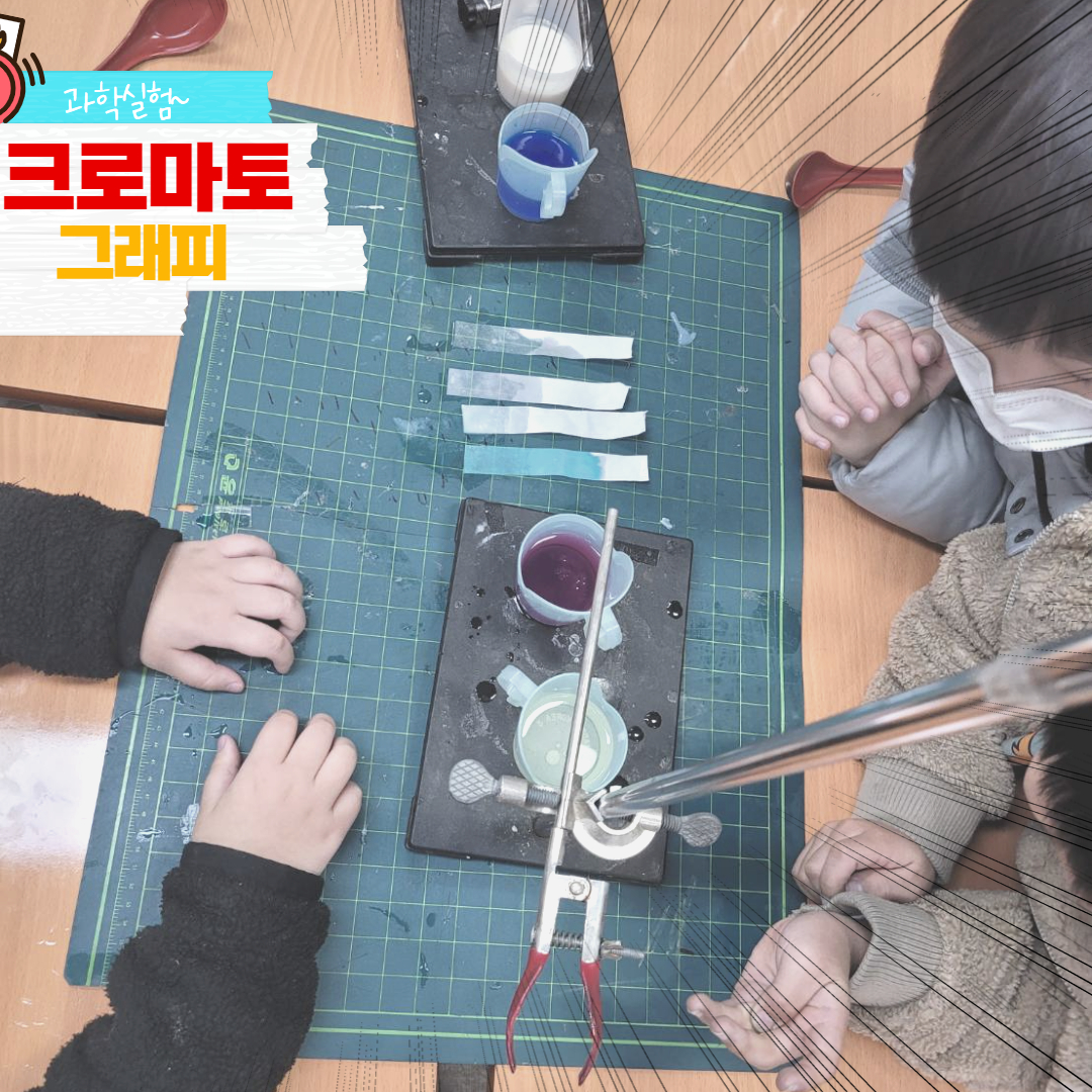 와이즈만영재교육도안학원