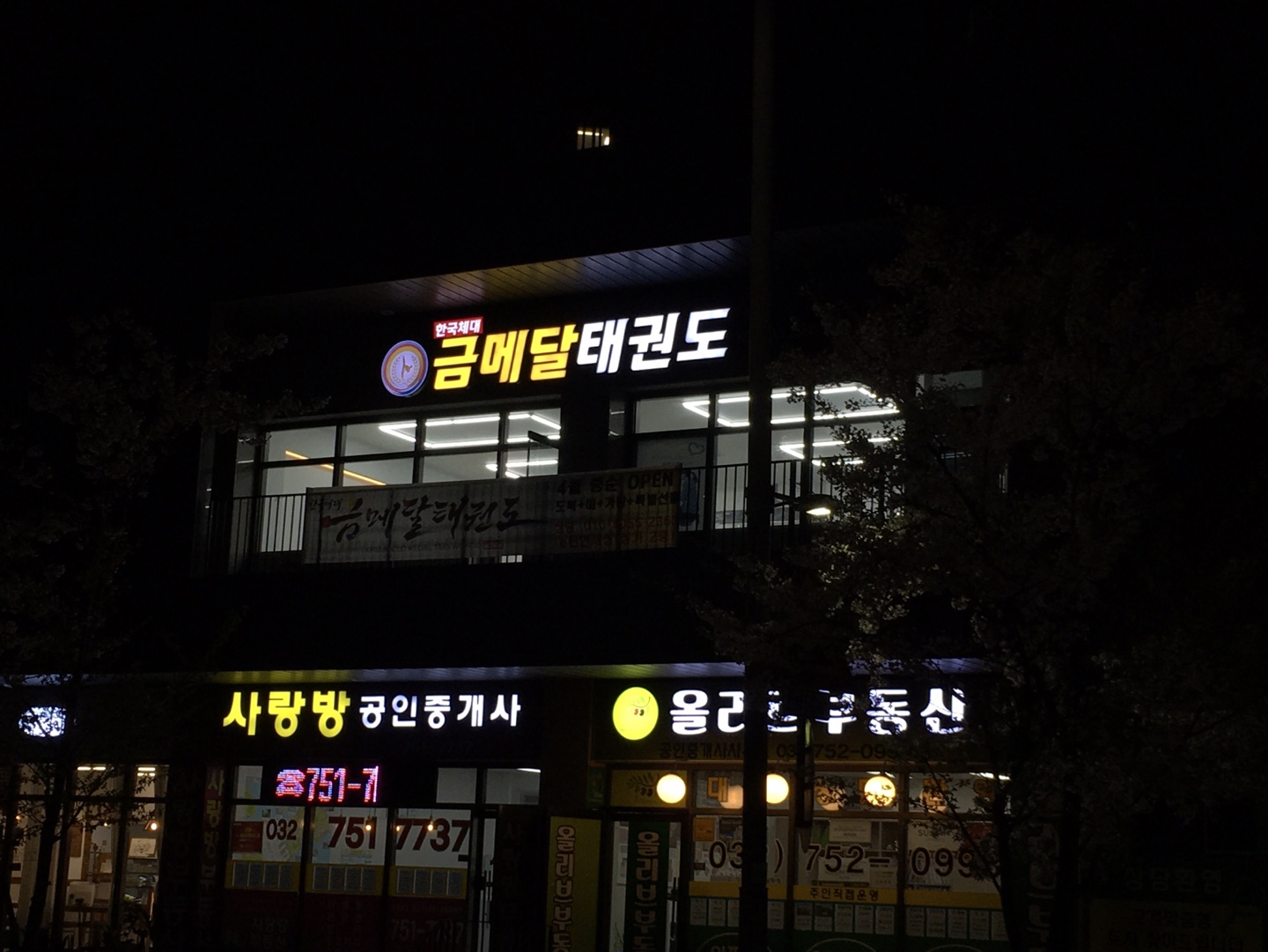 한국체대 금메달 태권도