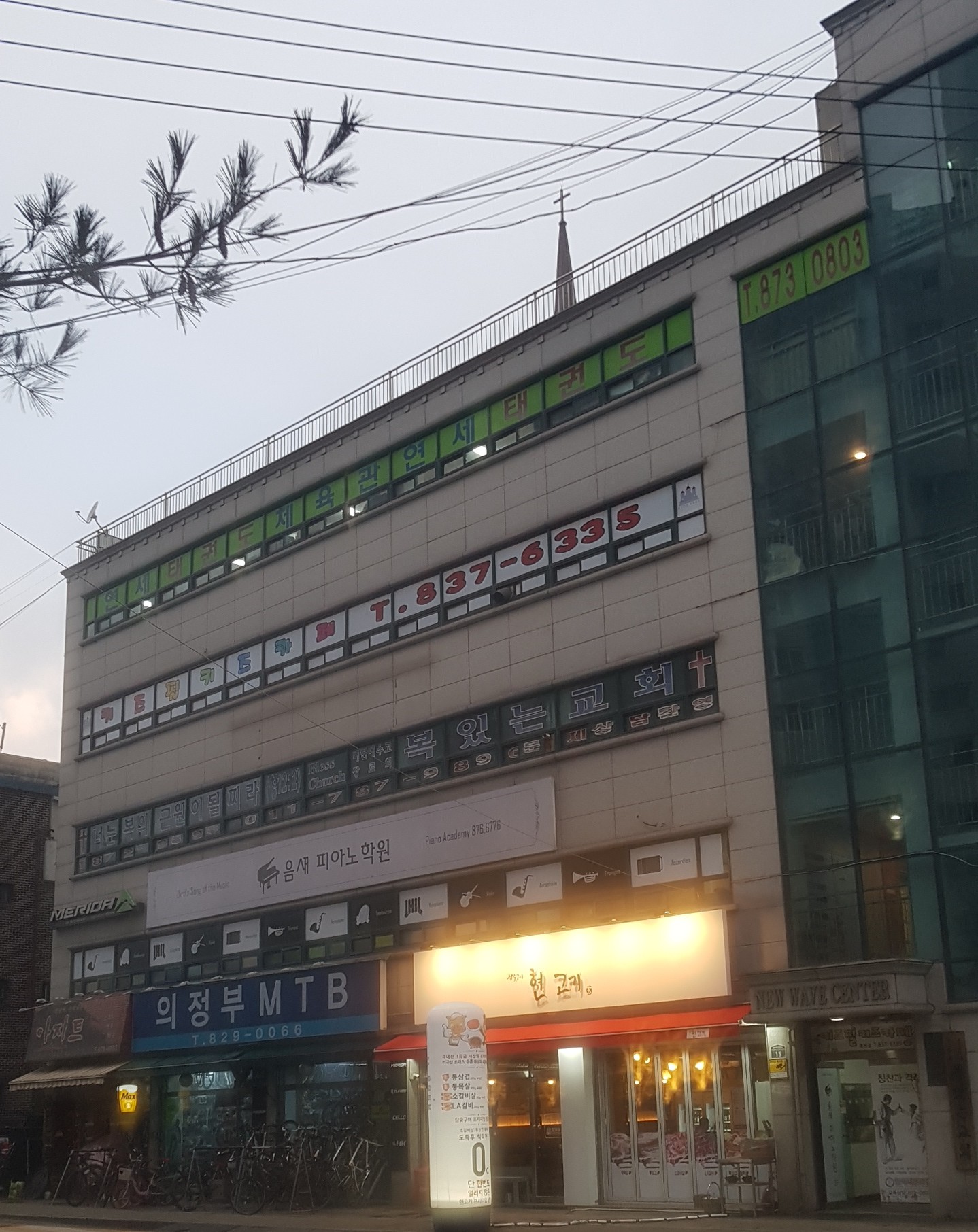 연세 효 태권도
