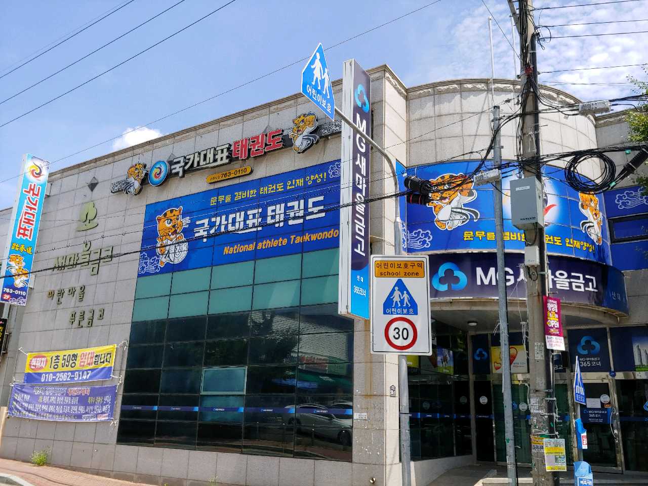 국가대표 태권도