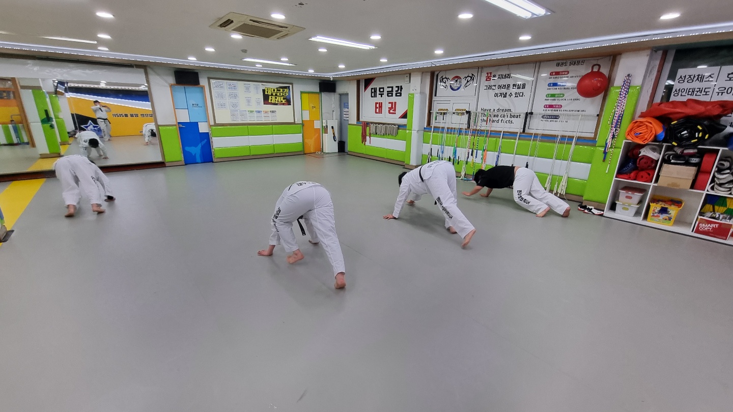 태무금강 태권도