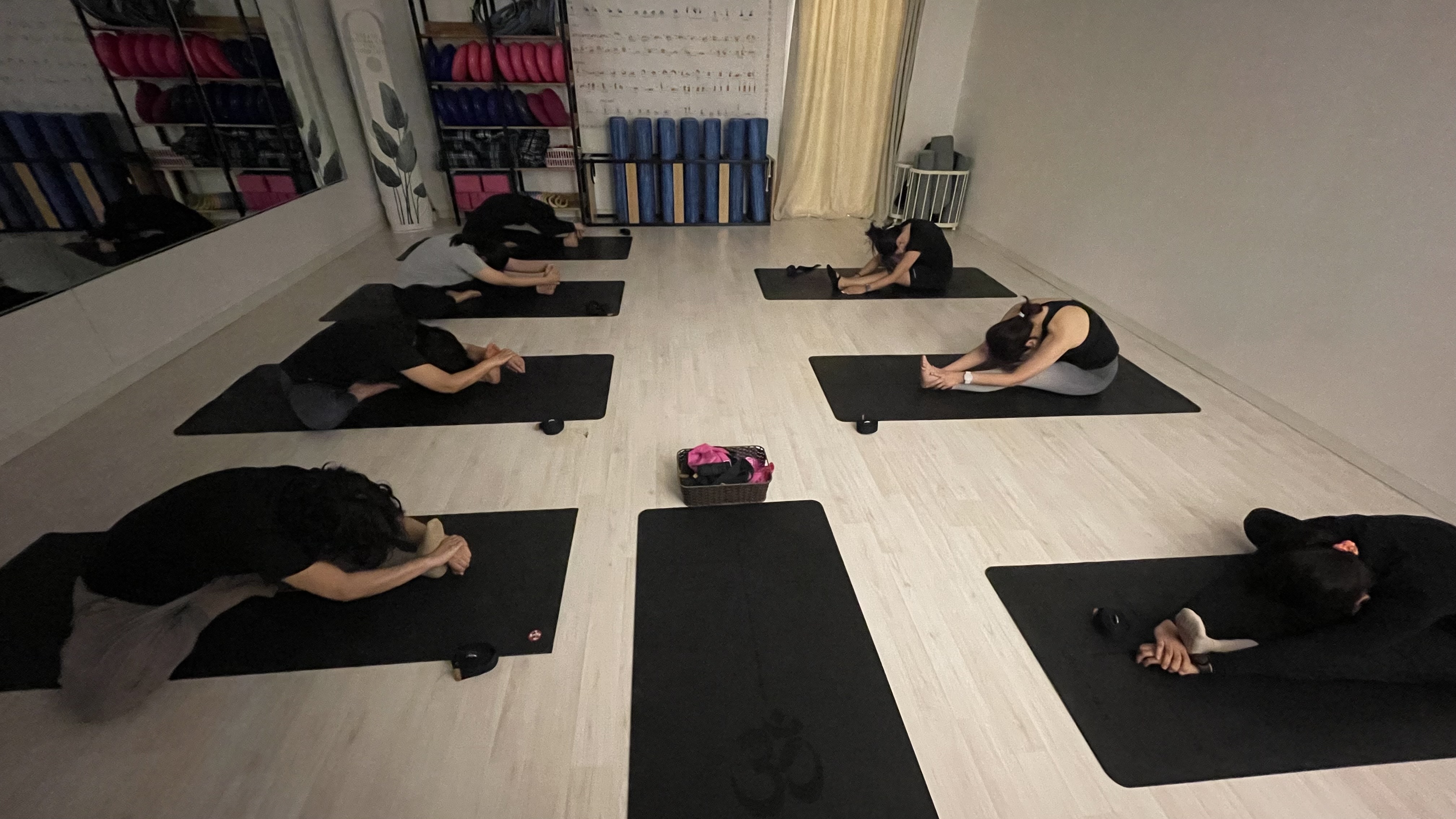 발레핏포유