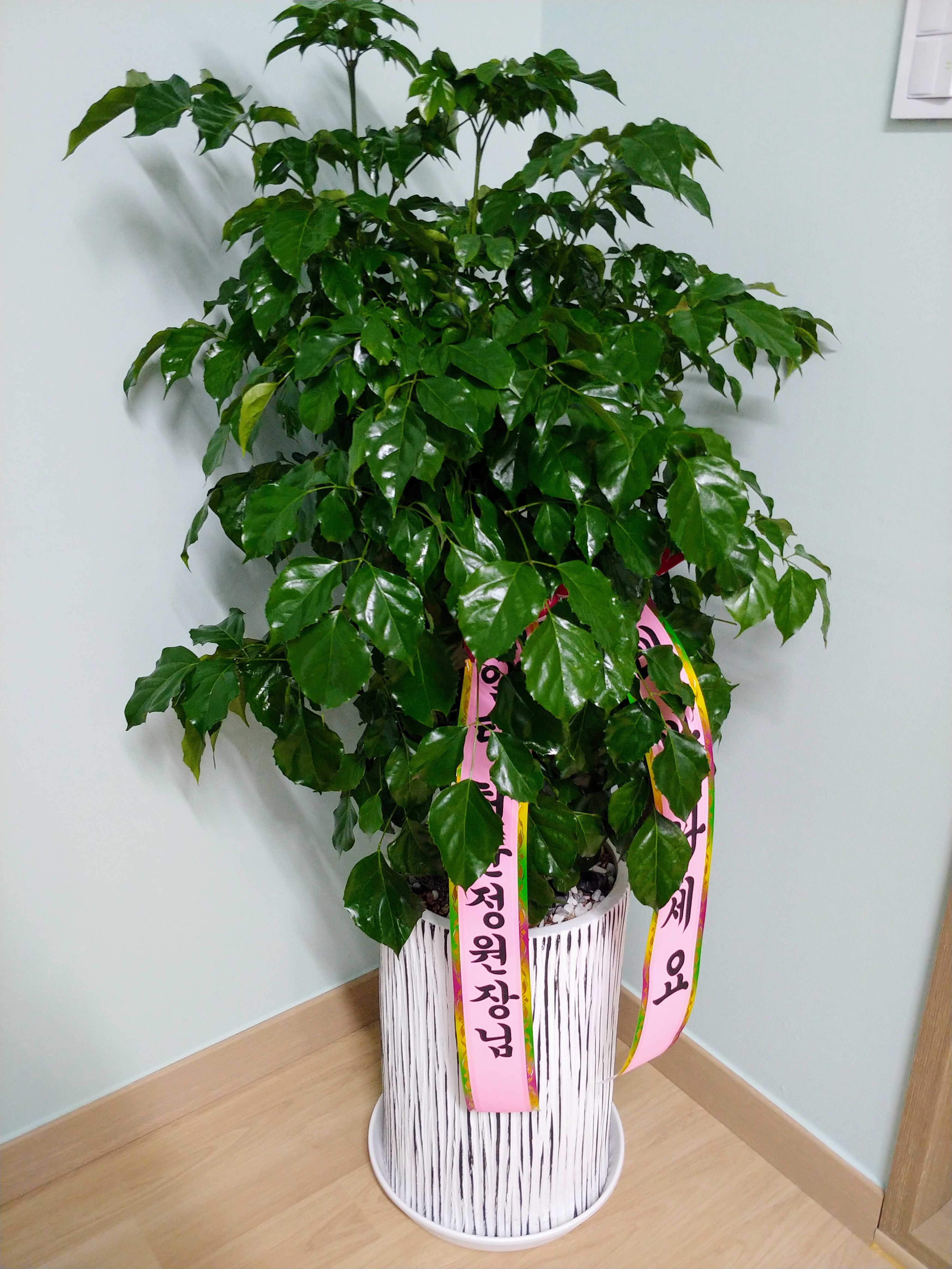 마리 영어 학원
