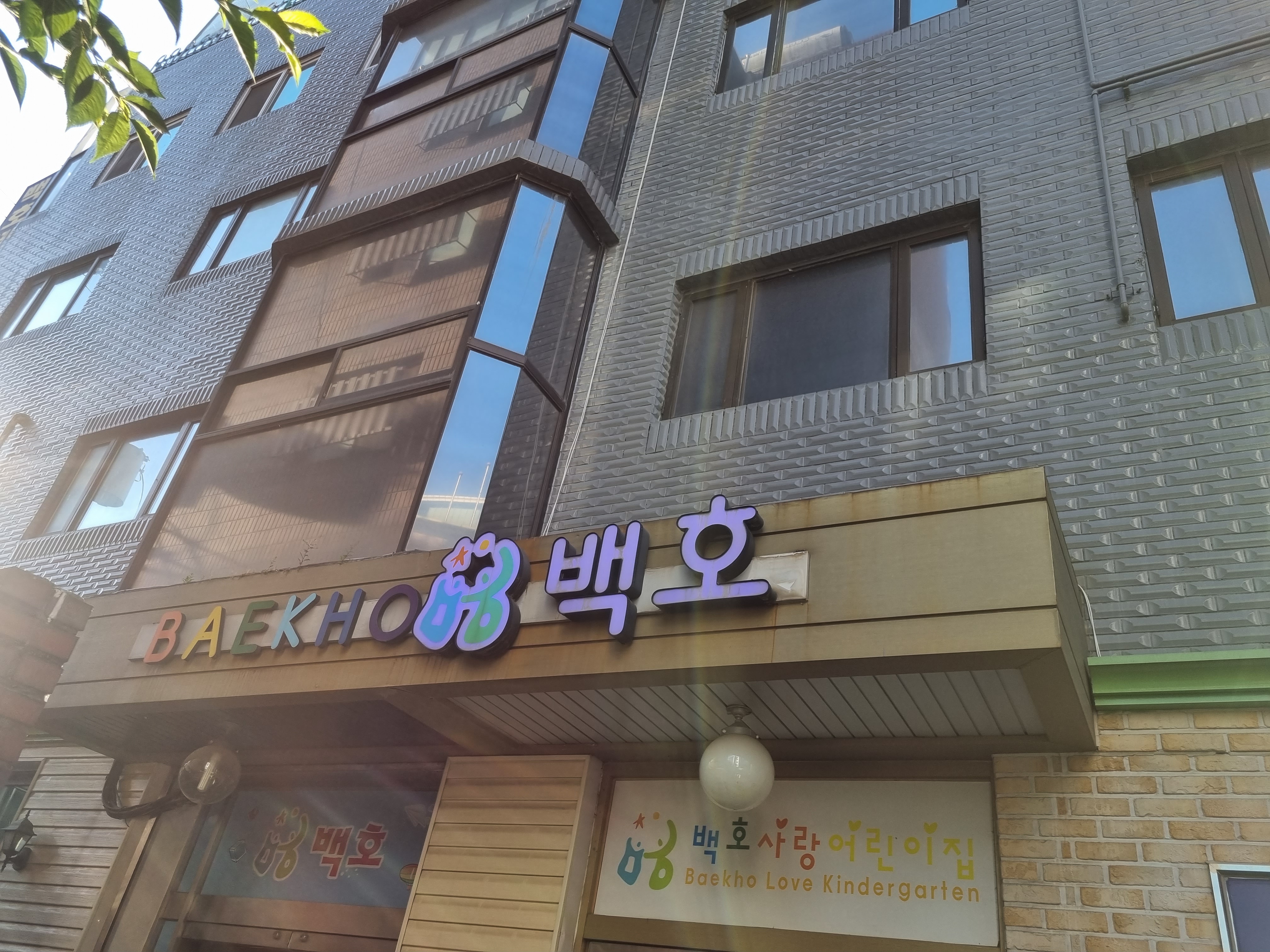태권도 백호총본관