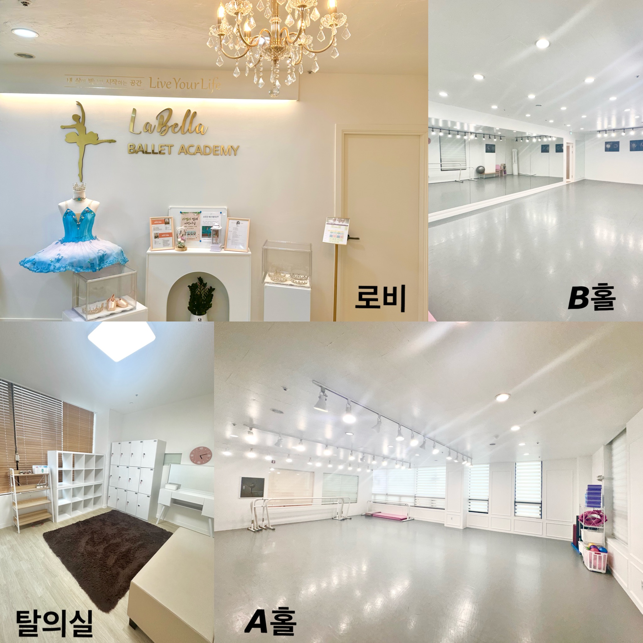 라벨라발레학원