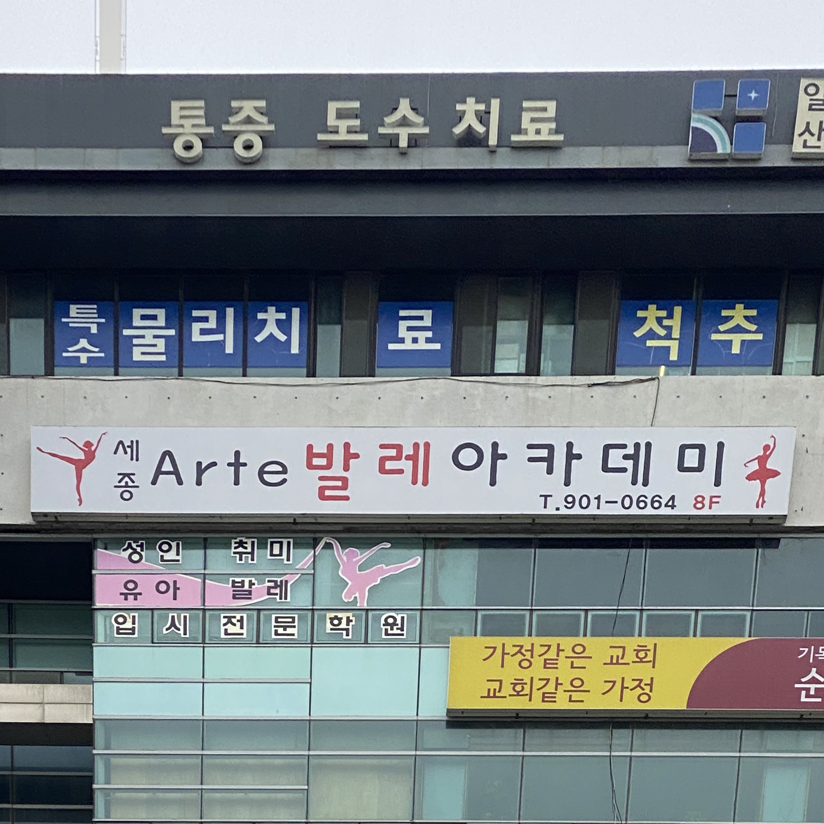 세종아르테발레아카데미